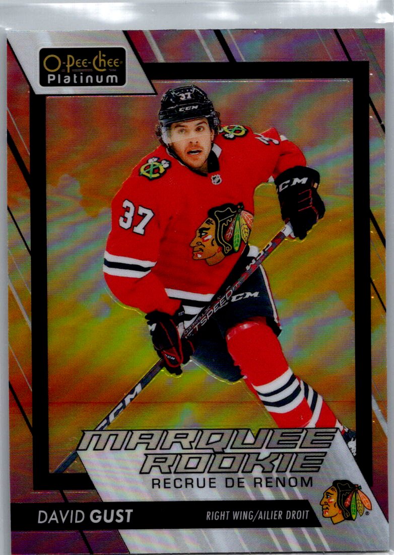 2023-24 O-Pee-Chee Platinum - Sunset David Gust #212 front