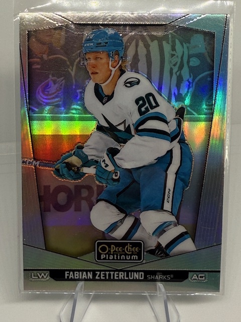 2024-25 O-Pee-Chee Platinum - Rainbow Fabian Zetterlund #55 front